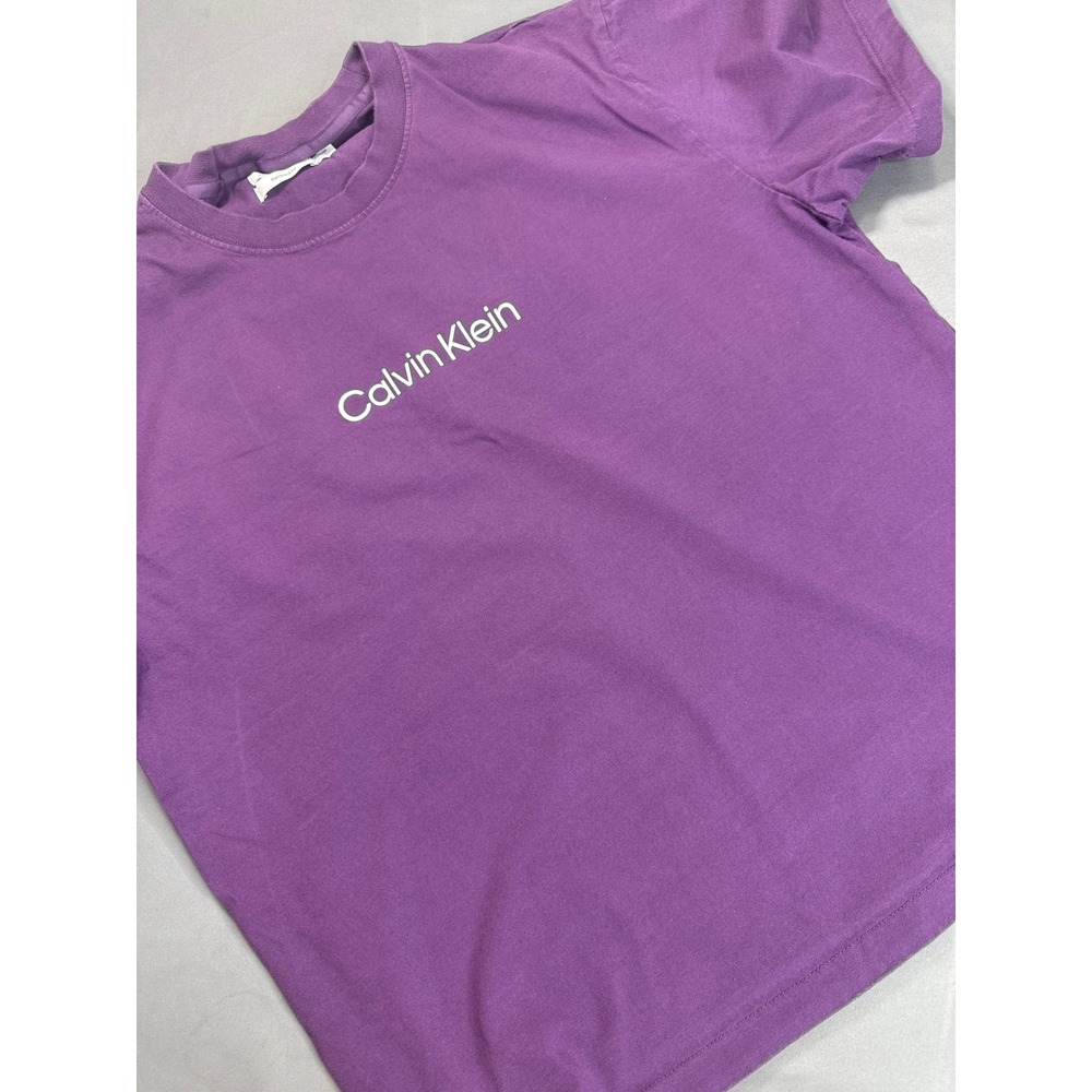 Calvin Klein Mens Relaxed Fit Logo T-Shirt Purple Cotton XL